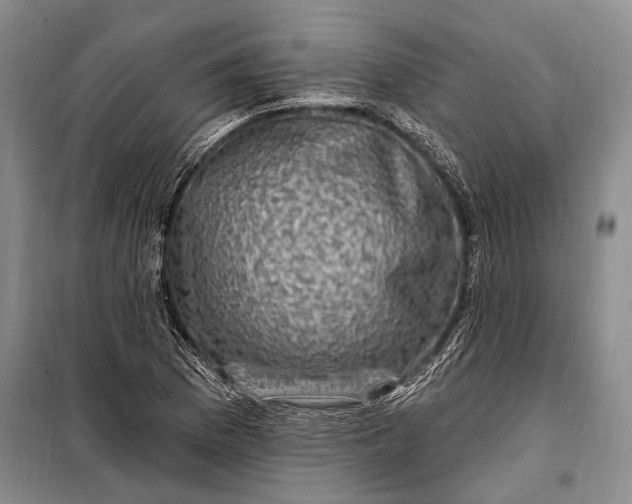 X0000100211169200806131246