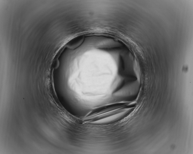 X0000100211170200806131246