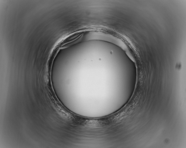 X0000100211172200806131246