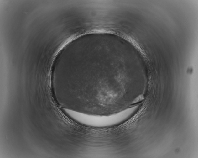 X0000100211173200806131246