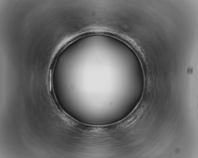 X0000100211175200806131246