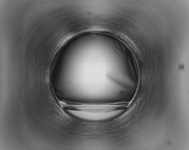 X0000100211177200806131245