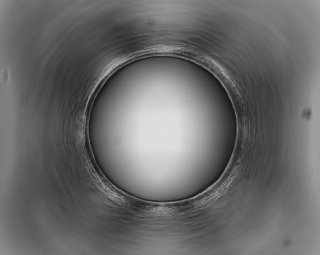 X0000100211178200806131245