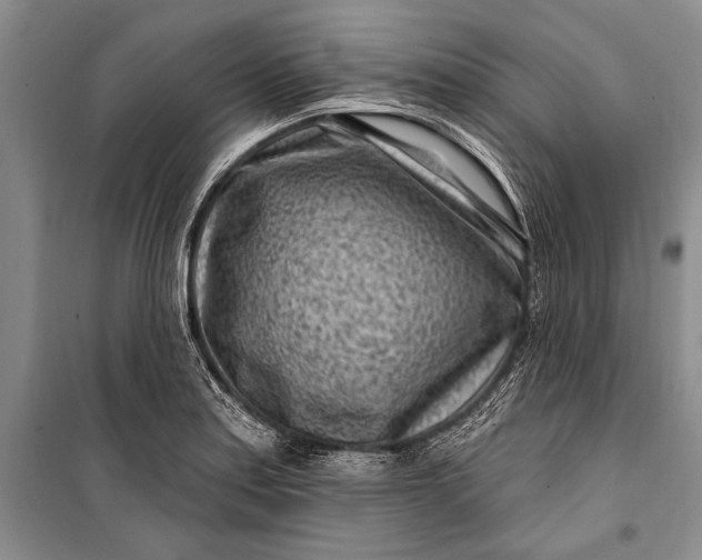 X0000100211179200806131245