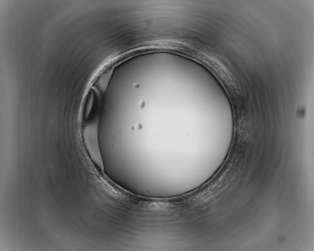 X0000100211180200806131245