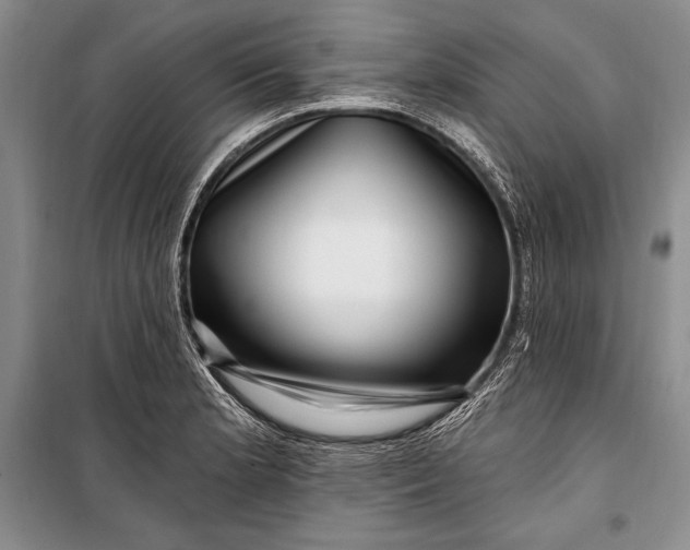 X0000100211181200806131245