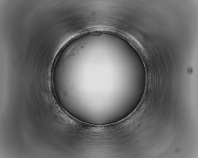 X0000100211182200806131245