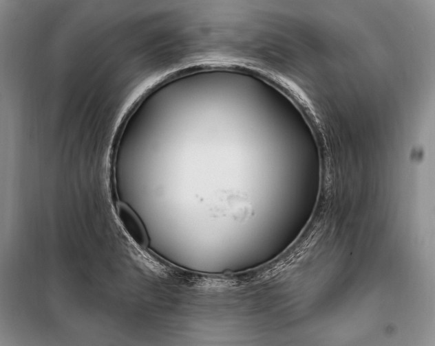 X0000100211183200806131245