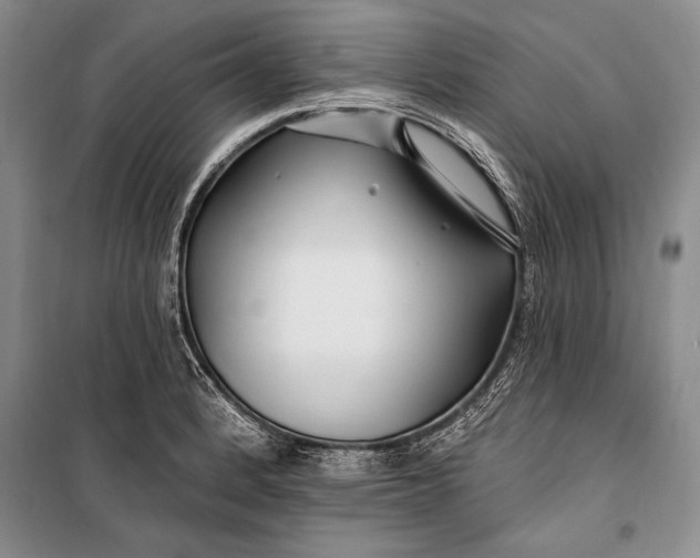 X0000100211184200806131245