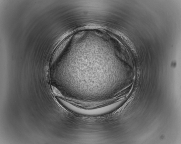 X0000100211185200806131245