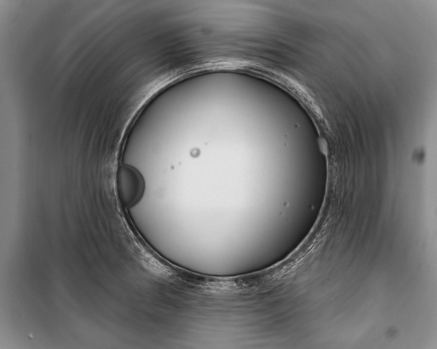 X0000100211186200806131245