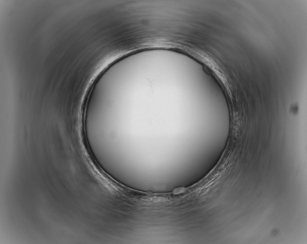 X0000100211187200806131245