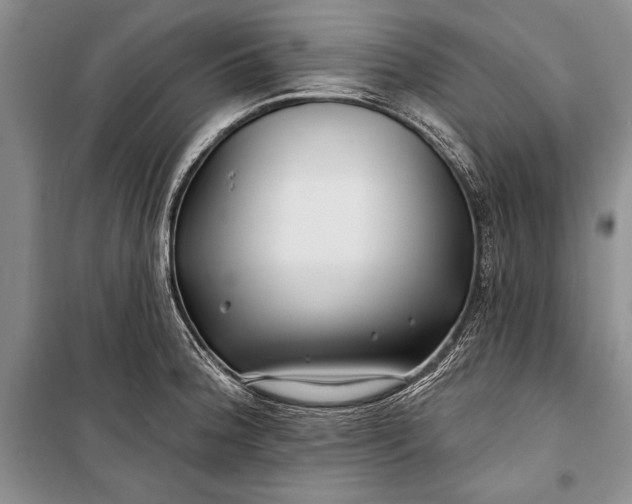 X0000100211188200806131245