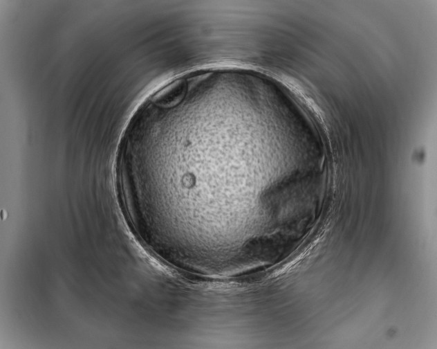 X0000100211189200806131245