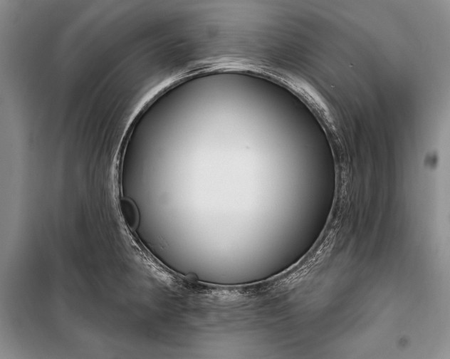 X0000100211190200806131245