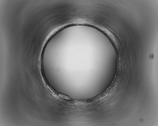 X0000100211191200806131245