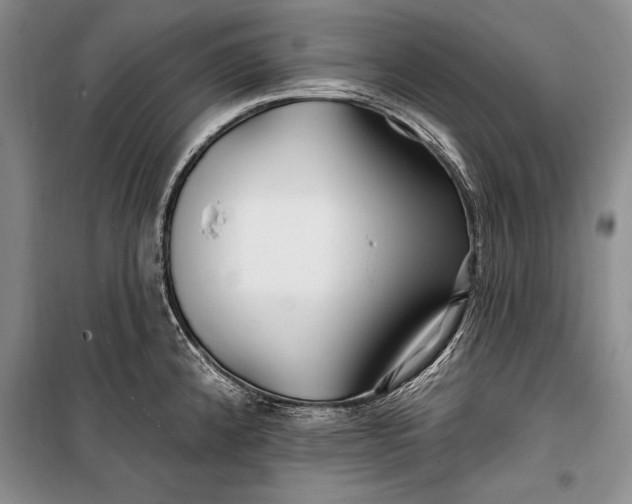 X0000100211192200806131245