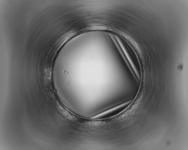 X0000100211193200806131245