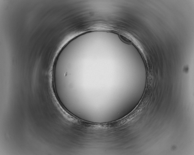 X0000100211195200806131245