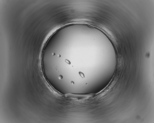 X0000100211196200806131245