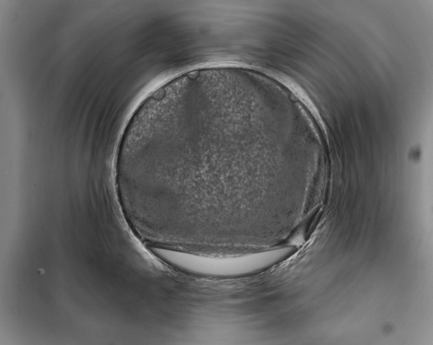 X0000100211197200806131245