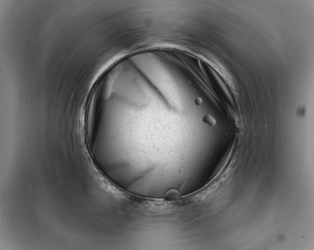 X0000100211198200806131245