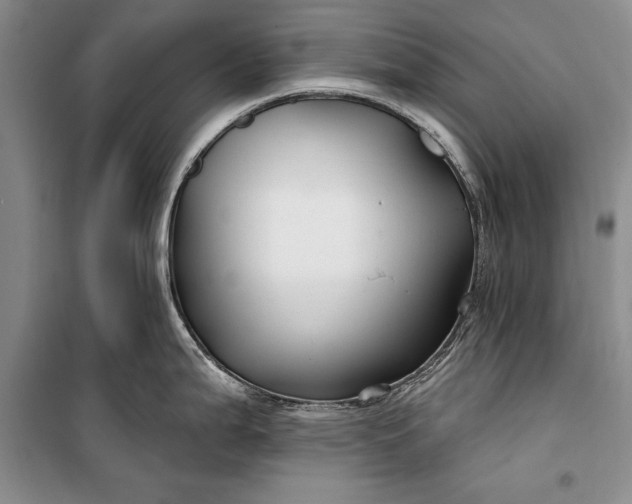 X0000100211199200806131245