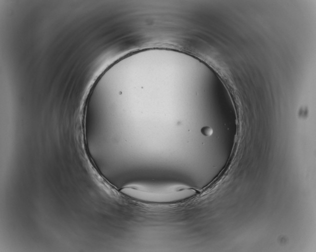 X0000100211200200806131245