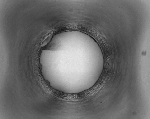 X0000100211201200806131244