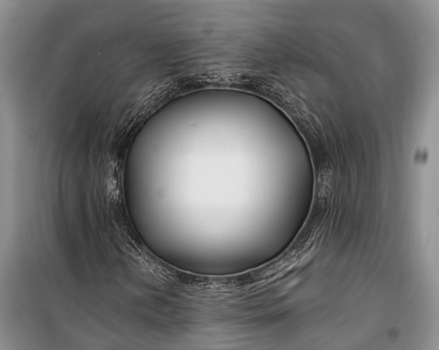 X0000100211202200806131244