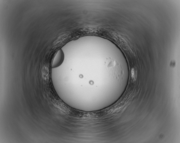 X0000100211203200806131244