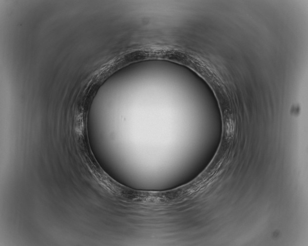 X0000100211204200806131244