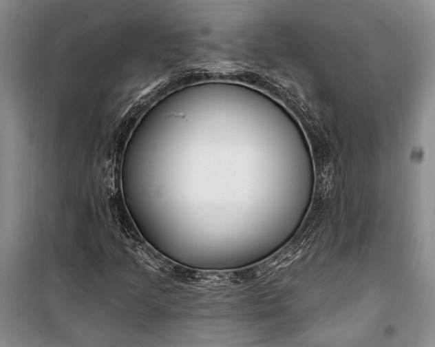 X0000100211205200806131244