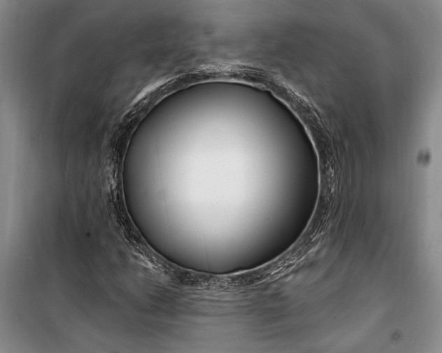 X0000100211206200806131244