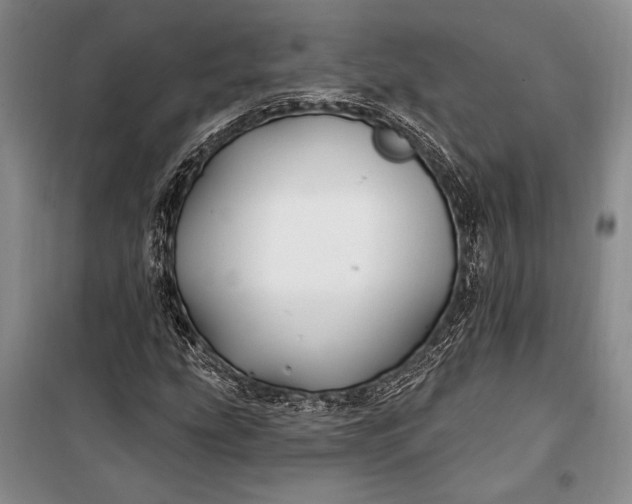 X0000100211207200806131244