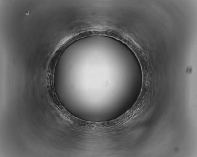 X0000100211208200806131244