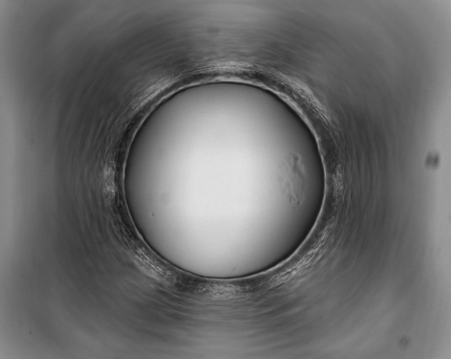 X0000100211209200806131244