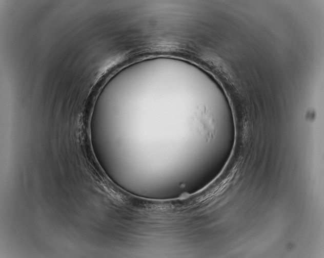 X0000100211210200806131244