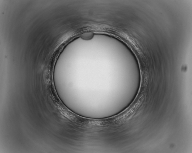 X0000100211211200806131244