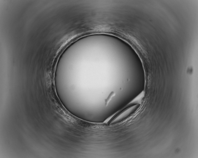 X0000100211212200806131245