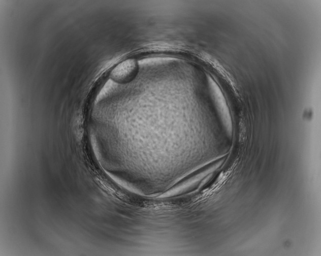 X0000100211213200806131245