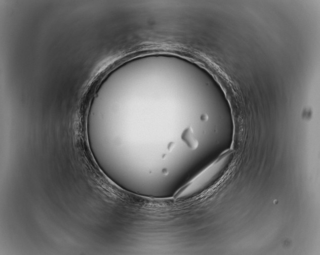 X0000100211215200806131245