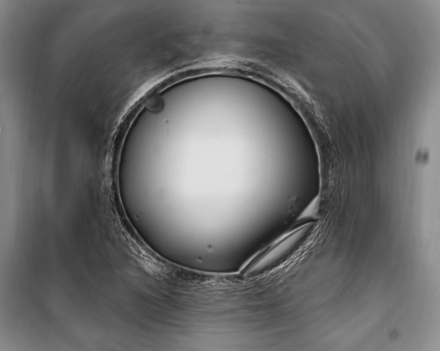 X0000100211216200806131245