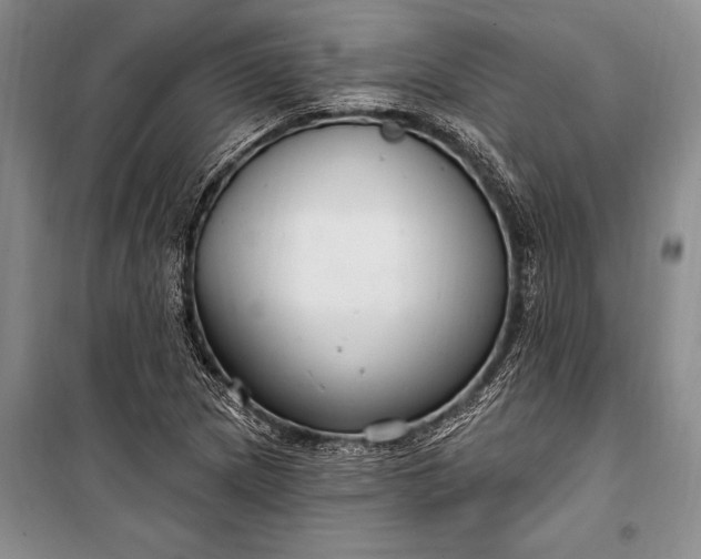 X0000100211217200806131245