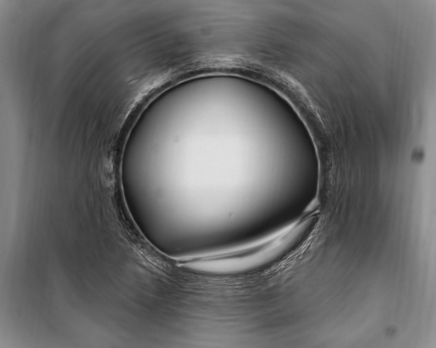 X0000100211218200806131245