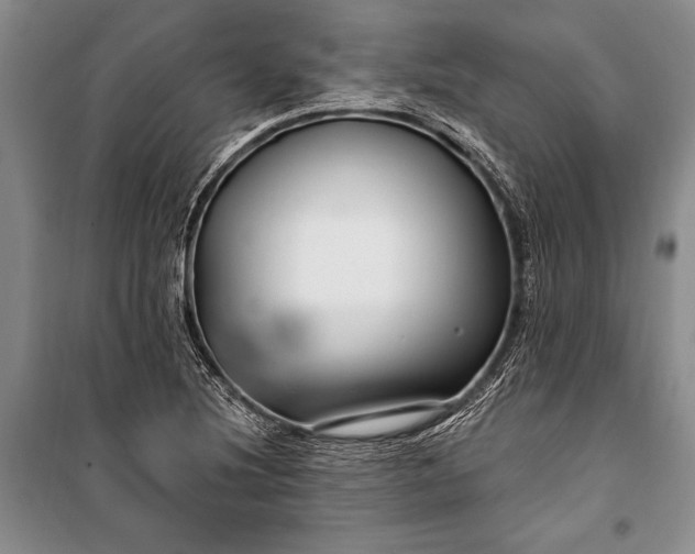 X0000100211220200806131245