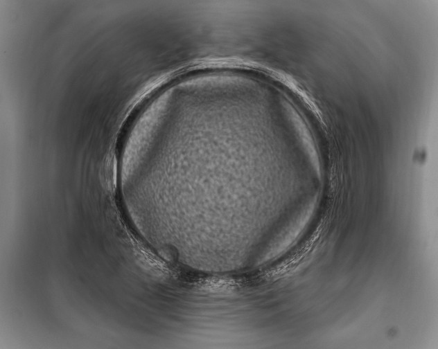 X0000100211221200806131245