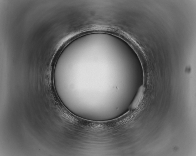 X0000100211222200806131245