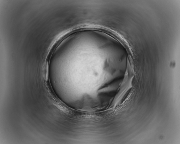 X0000100211223200806131245