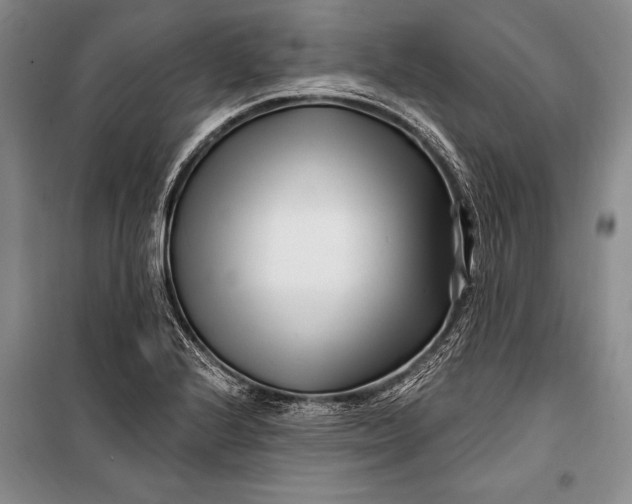 X0000100211224200806131245